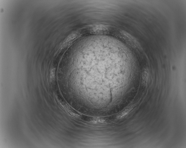 X0000085060278200703191333