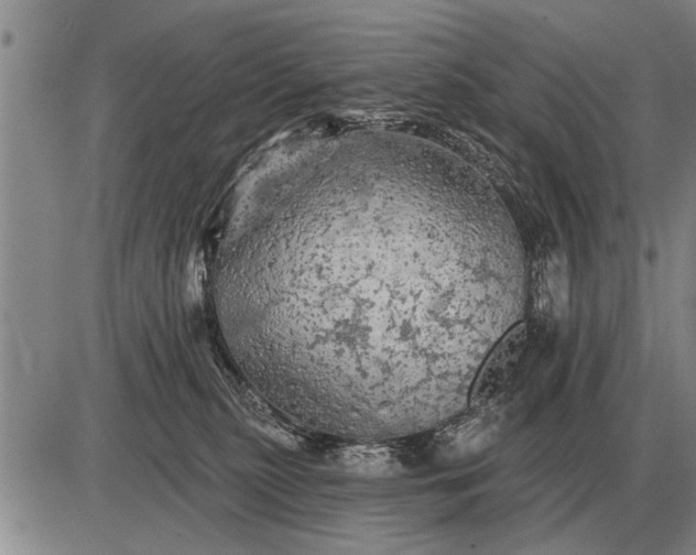 X0000085060279200703191333