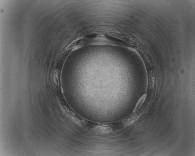 X0000085060280200703191333