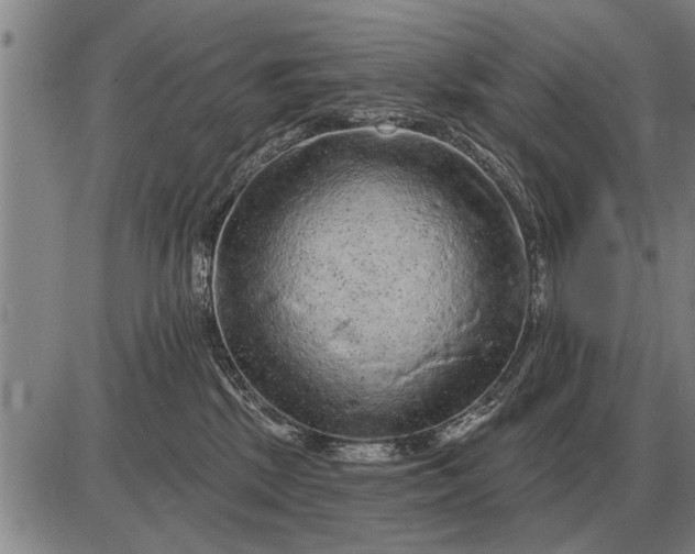 X0000085060281200703191333