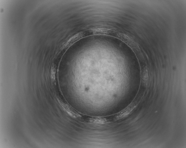 X0000085060282200703191333