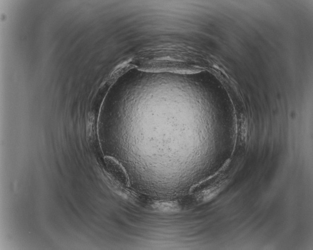 X0000085060283200703191333