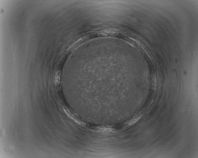 X0000085060284200703191333