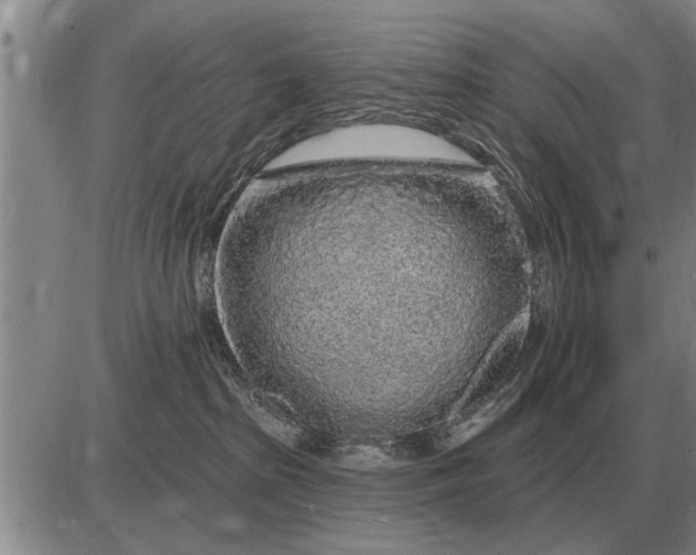 X0000085060285200703191333