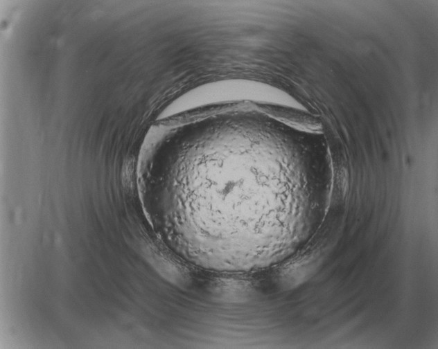 X0000085060286200703191333