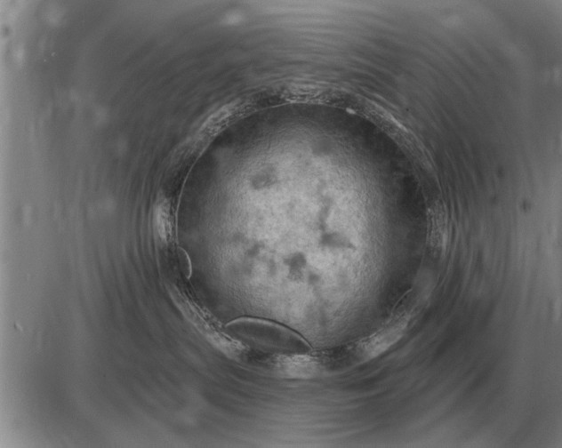 X0000085060287200703191333