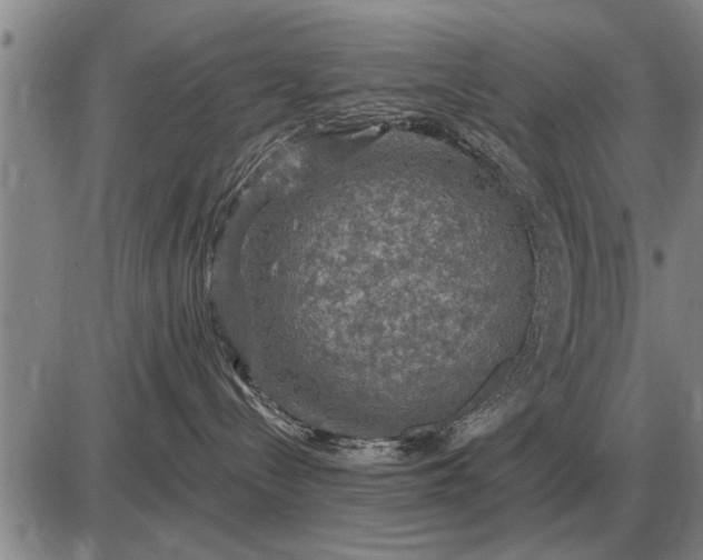 X0000085060288200703191333