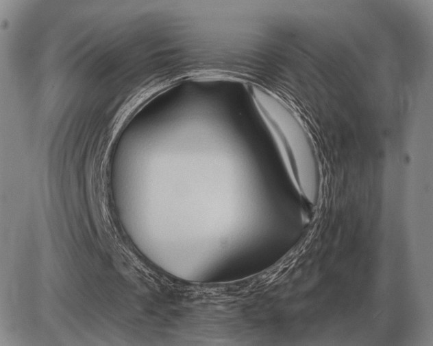 X0000085060289200703191332