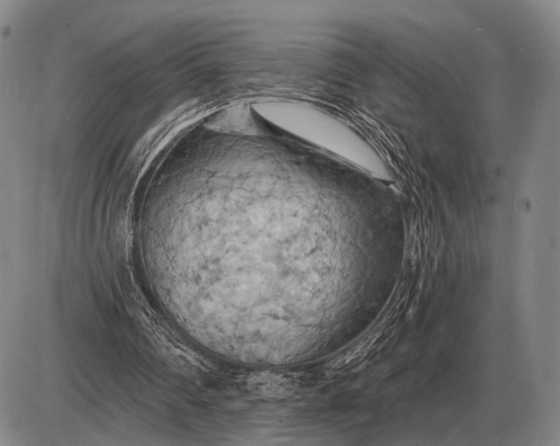 X0000085060290200703191332