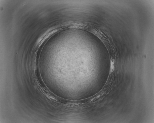 X0000085060291200703191332