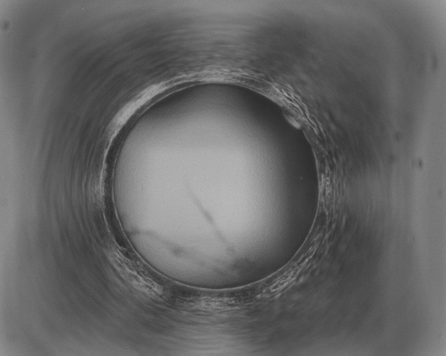 X0000085060292200703191332