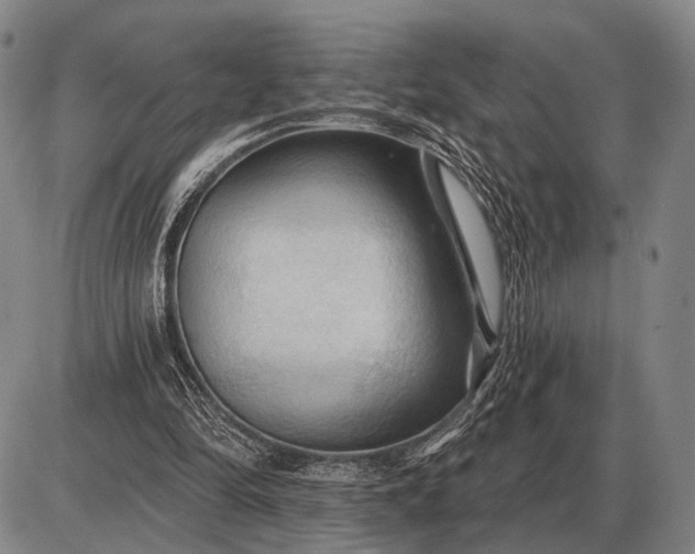 X0000085060294200703191332