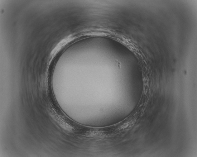 X0000085060296200703191332