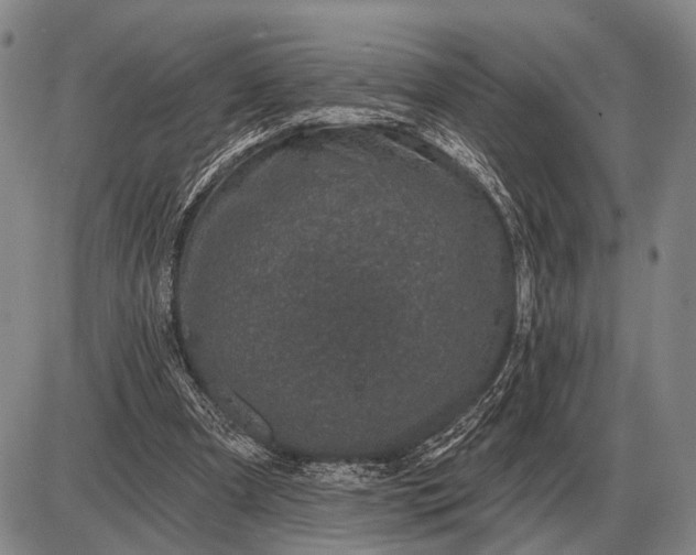 X0000085060297200703191332