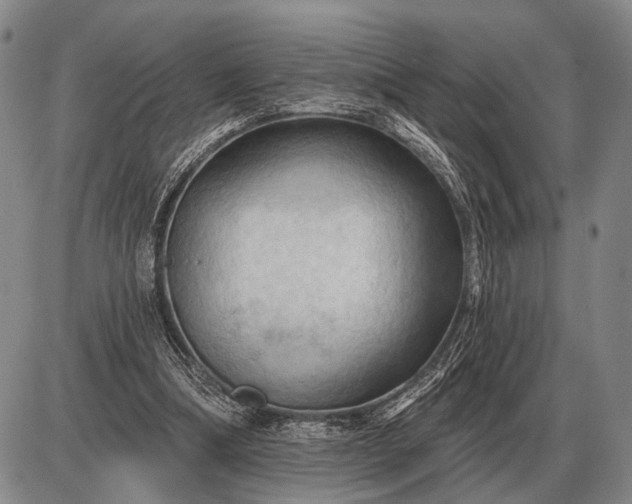 X0000085060298200703191332