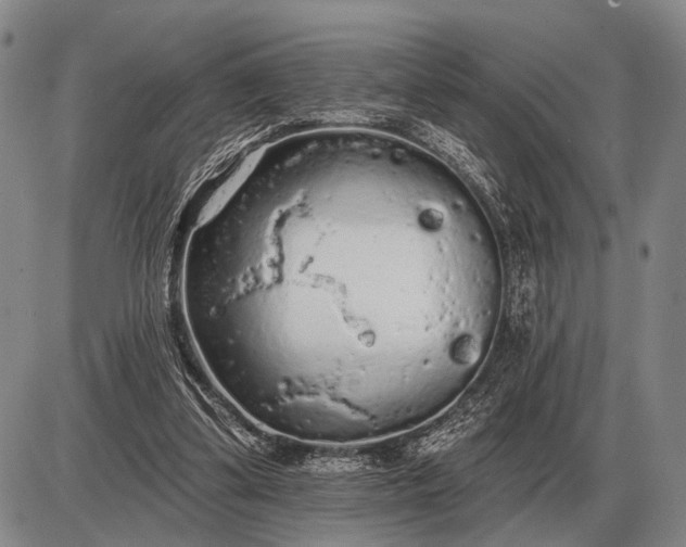 X0000085060299200703191332