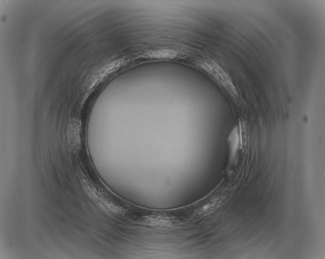 X0000085060300200703191332