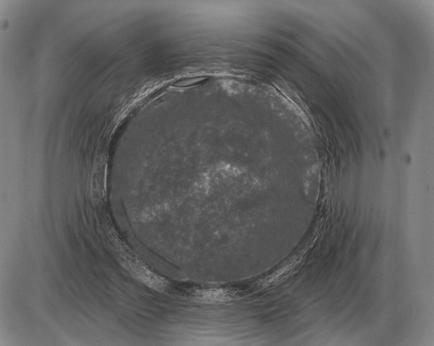 X0000085060301200703191332