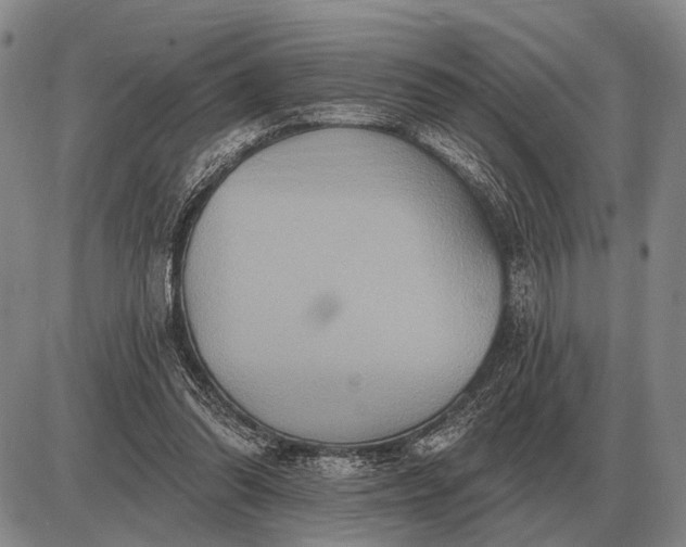 X0000085060302200703191332