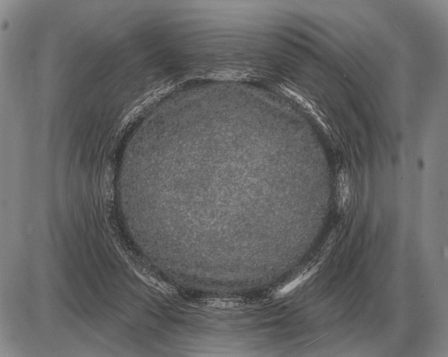 X0000085060303200703191332