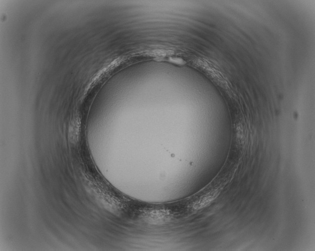 X0000085060304200703191332