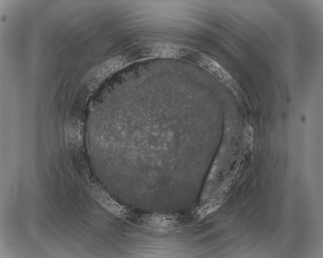 X0000085060305200703191332