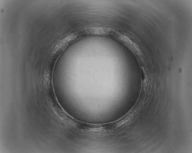 X0000085060306200703191332