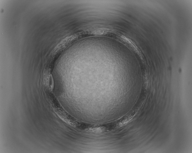 X0000085060307200703191332