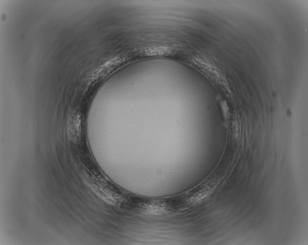 X0000085060308200703191332