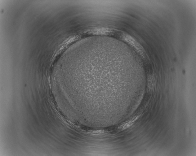 X0000085060309200703191332