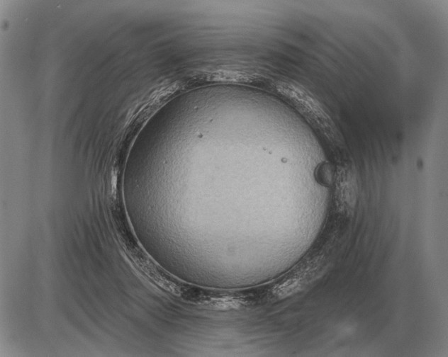 X0000085060310200703191332