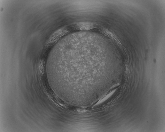 X0000085060311200703191332