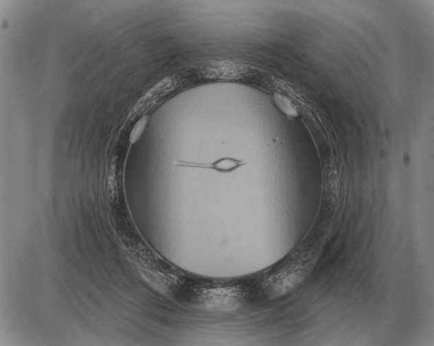 X0000085060312200703191332