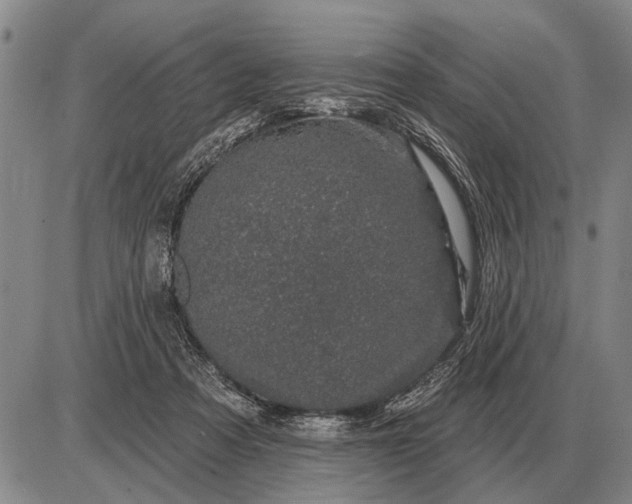 X0000085060313200703191332