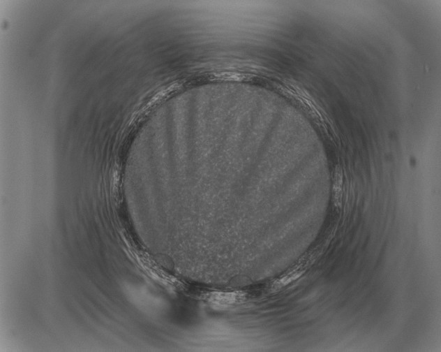 X0000085060314200703191332