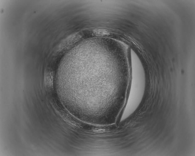 X0000085060315200703191332