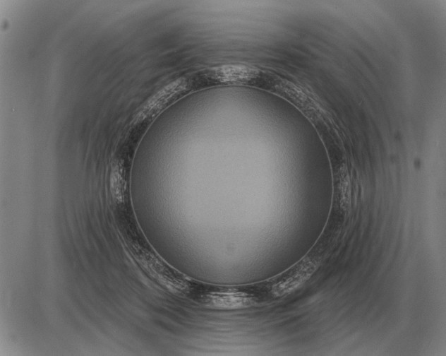 X0000085060316200703191332