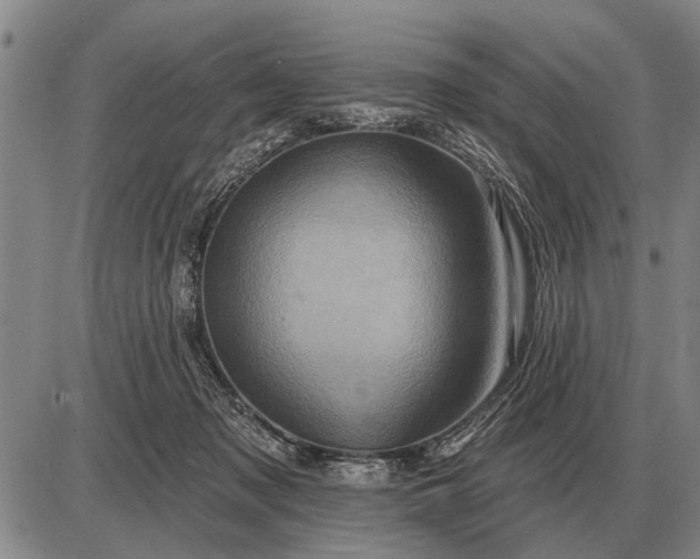 X0000085060317200703191332