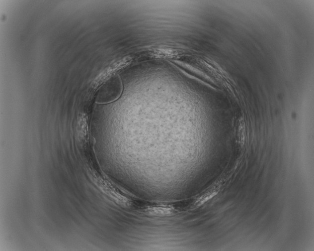 X0000085060318200703191332