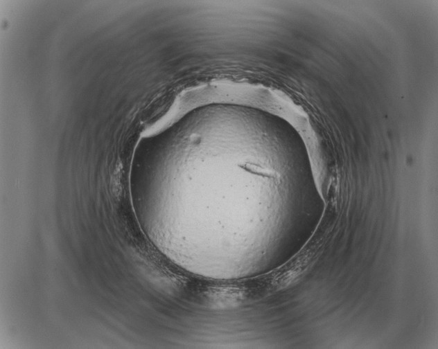 X0000085060319200703191332