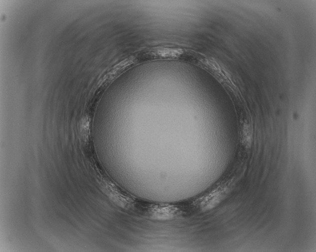 X0000085060321200703191331