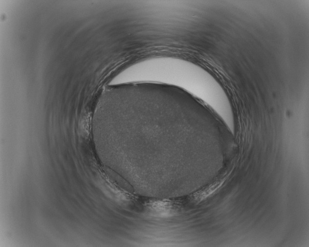 X0000085060325200703191331