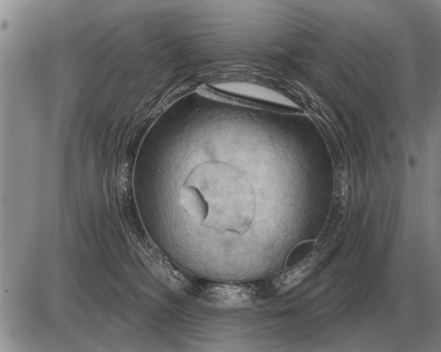 X0000085060326200703191331