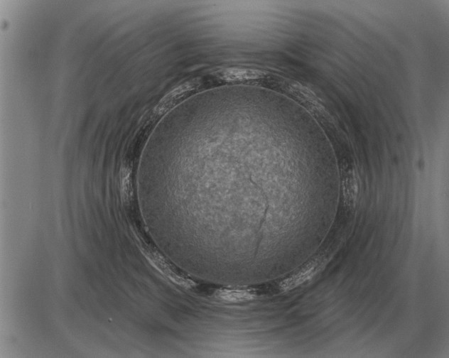 X0000085060327200703191331