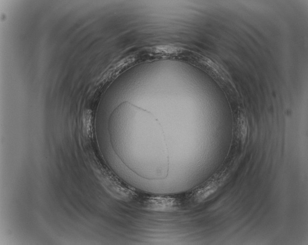 X0000085060328200703191331