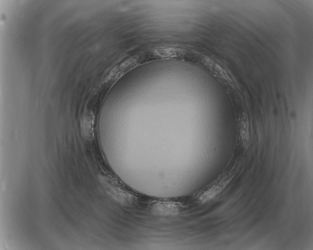 X0000085060332200703191331