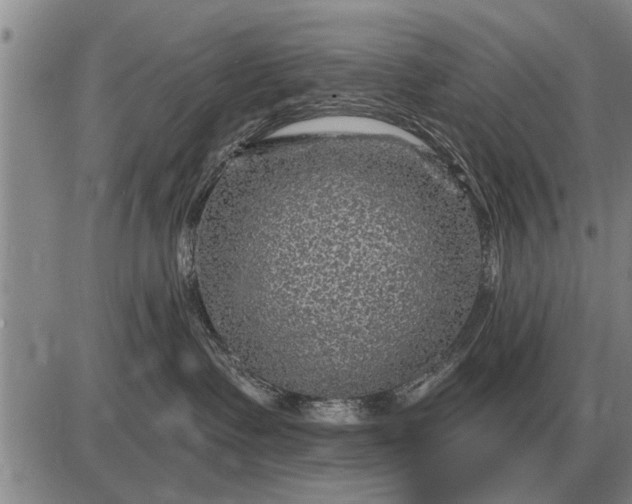 X0000085060335200703191331