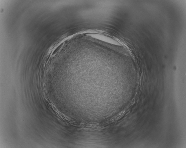 X0000085060337200703191330