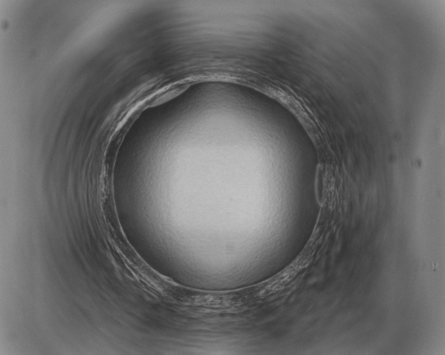 X0000085060338200703191330