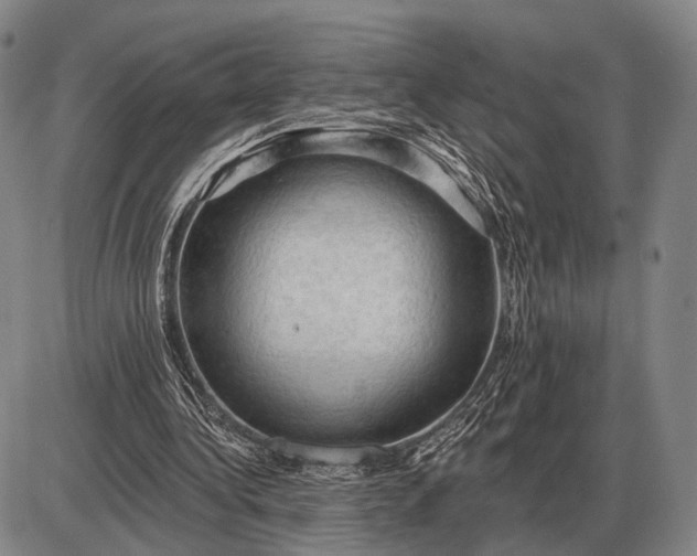 X0000085060340200703191330